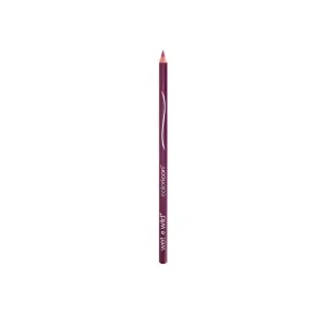 Wet N Wild Color Icon Lip Liner E664C Fab Fuchsia
