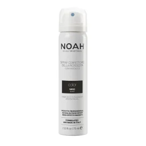 Noah Color Spray Corrector Black 75ml Spray