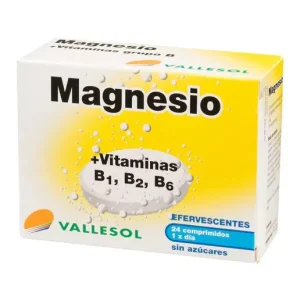 Vallesol Effervescent Magnesium B 24comp